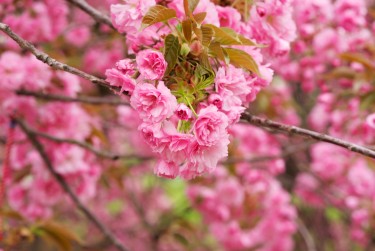 南京栖霞区5线下个人借款平台一站式服务，轻松解决资金难题