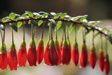 南京栖霞区5零用贷短借：轻松解决临时资金需求