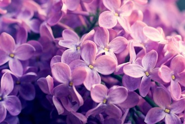 南京栖霞区5企业急用钱贷款攻略：快速融资解燃眉之急